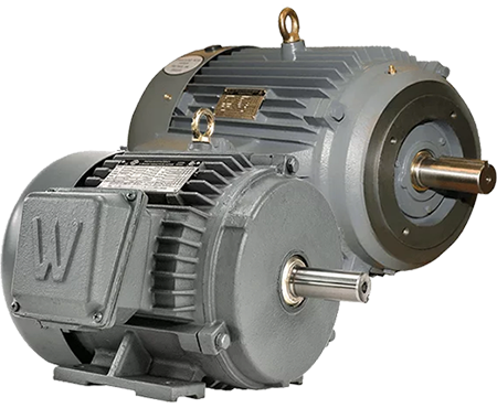 WorldWide Electric Motor